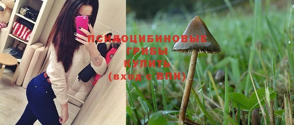 гашик Армянск
