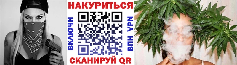 Конопля гибрид  Каменногорск 